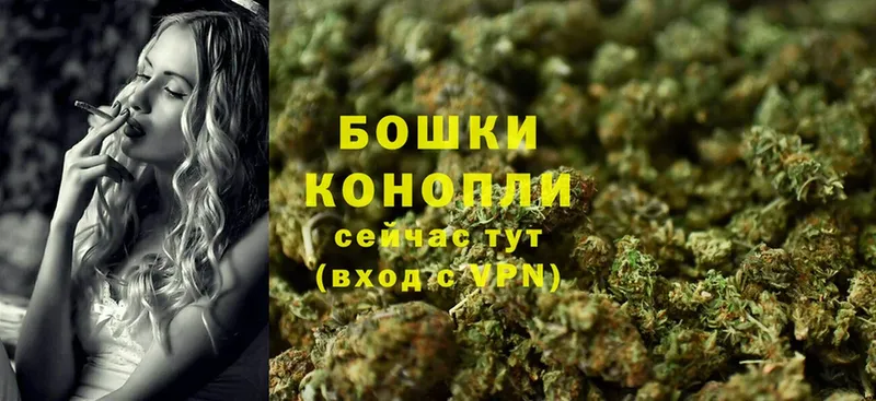 Каннабис THC 21%  наркошоп  hydra маркетплейс  мориарти как зайти  Переславль-Залесский 